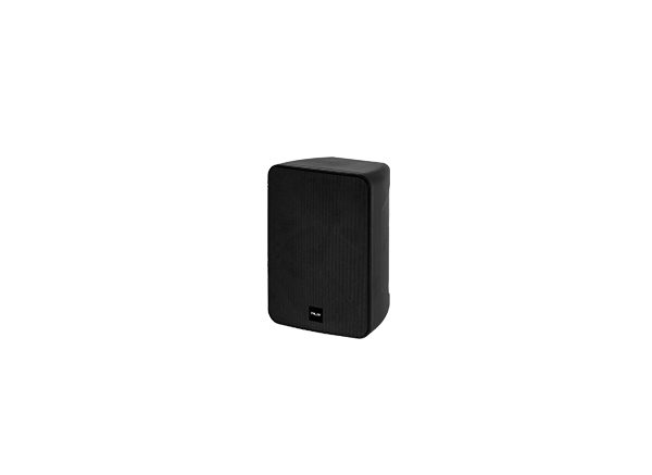 TNLOY TL-AM525  5.25寸两分频音箱